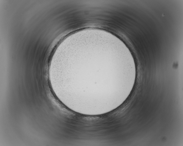X0000114010939200911131200