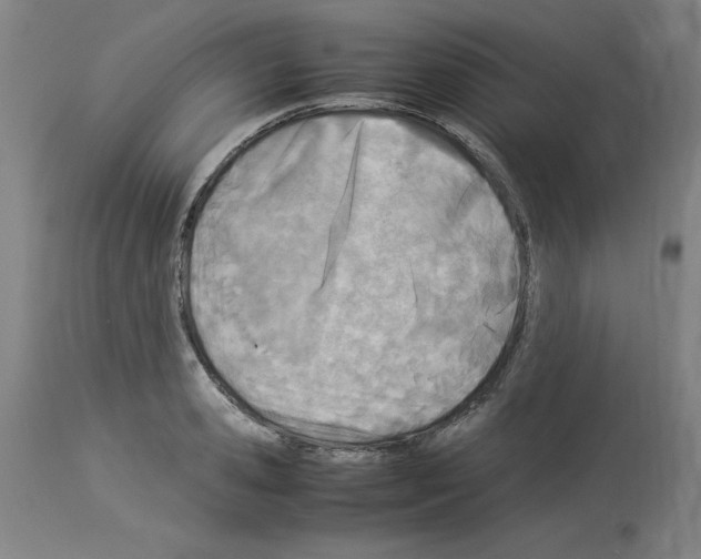 X0000114010941200911131200