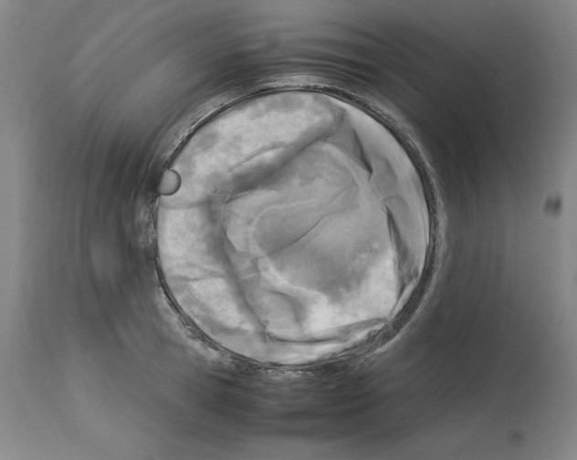 X0000114010945200911131200