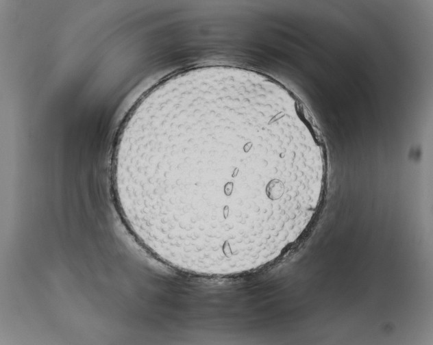 X0000114010949200911131201