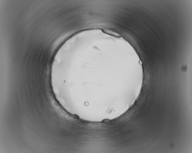 X0000114010952200911131201