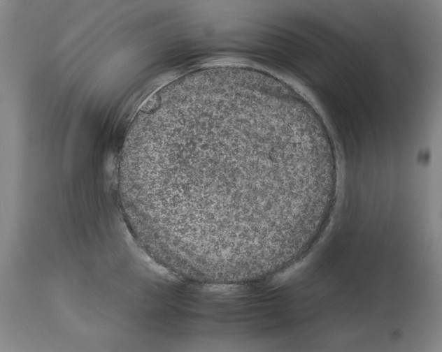 X0000114010953200911131201