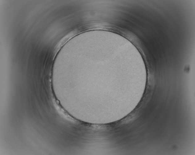 X0000114010954200911131201