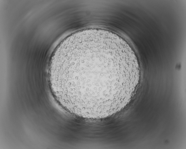 X0000114010955200911131201