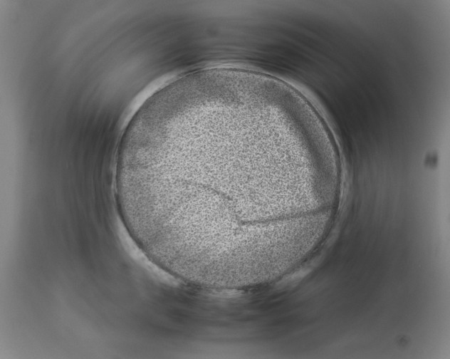 X0000114010957200911131201