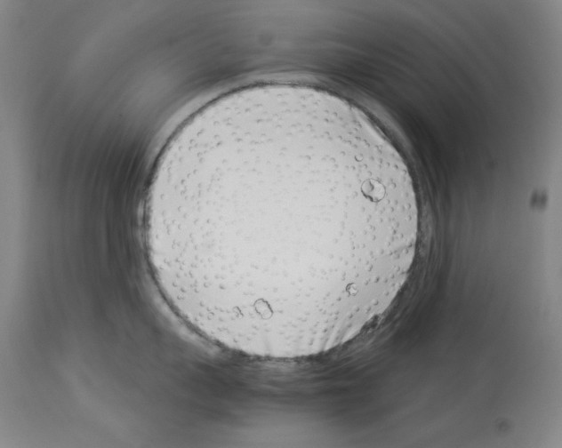X0000114010959200911131201