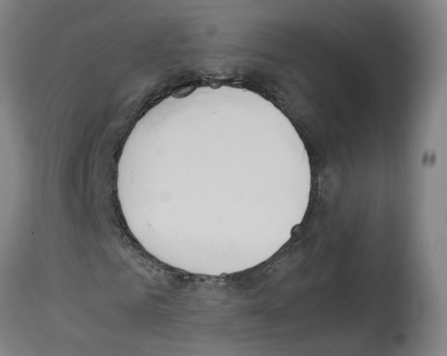 X0000114010961200911131200