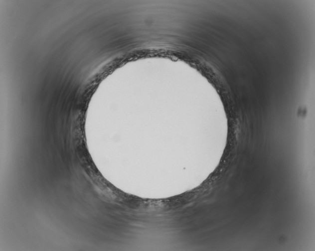 X0000114010968200911131200