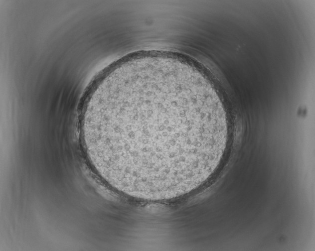 X0000114010974200911131200