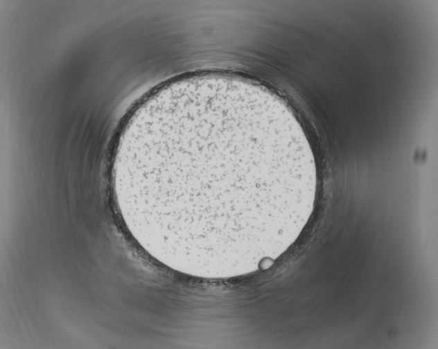 X0000114010975200911131200