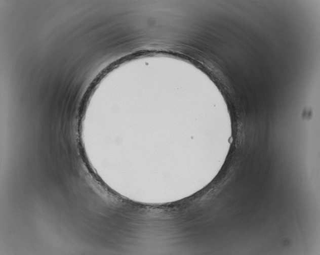 X0000114010976200911131200