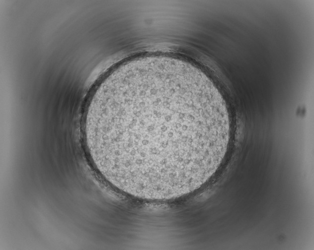 X0000114010978200911131200