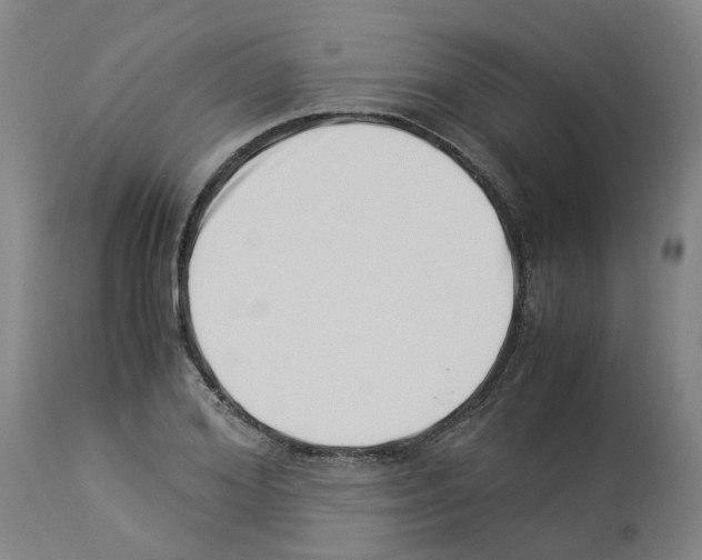 X0000114010980200911131200
