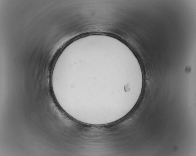 X0000114010981200911131200