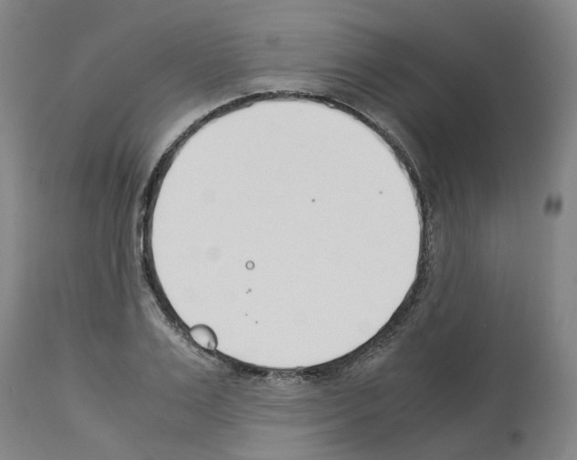 X0000114010983200911131200