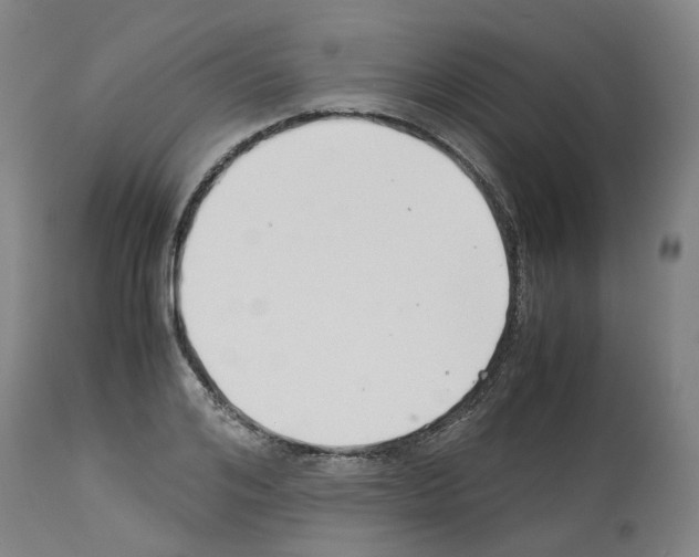 X0000114010984200911131200
