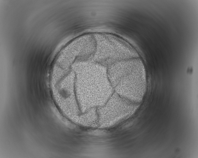 X0000114010998200911131159