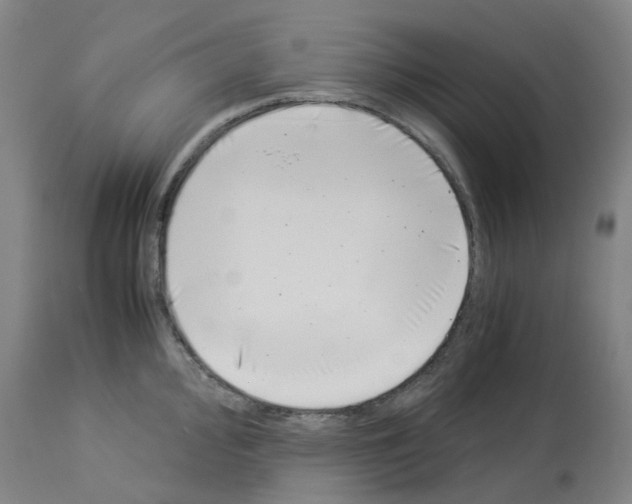 X0000114011000200911131159