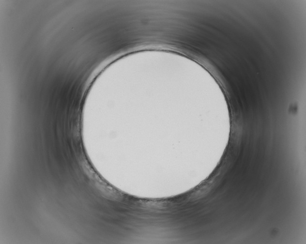 X0000114011004200911131159