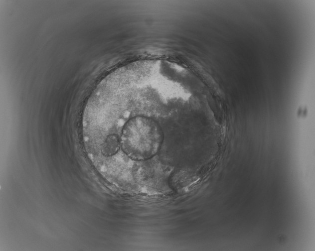 X0000114011009200911131159