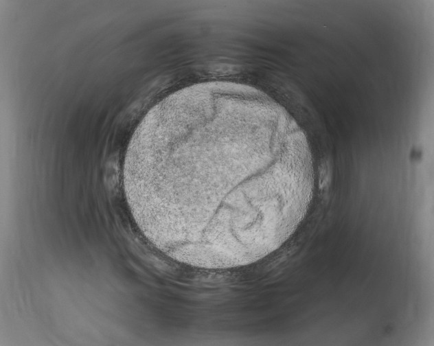 X0000114011011200911131159