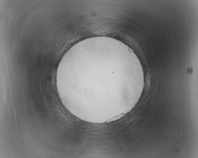X0000114011012200911131159
