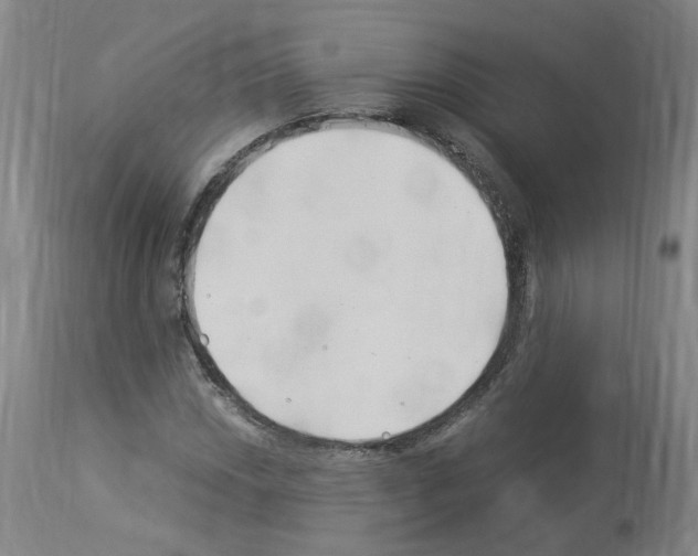 X0000114011018200911131159