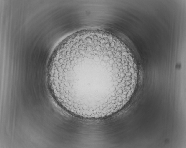 X0000114011020200911131159