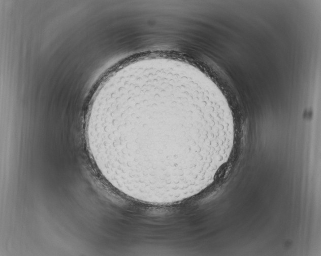 X0000114011021200911131159