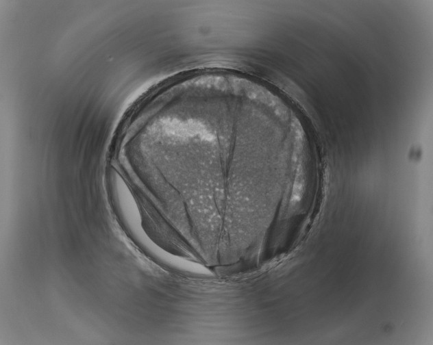 X0000114011024200911131159