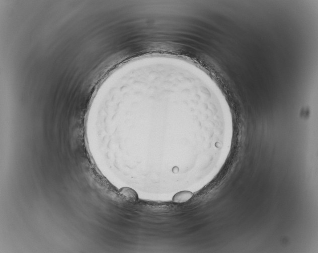 X0000114011025200911131159