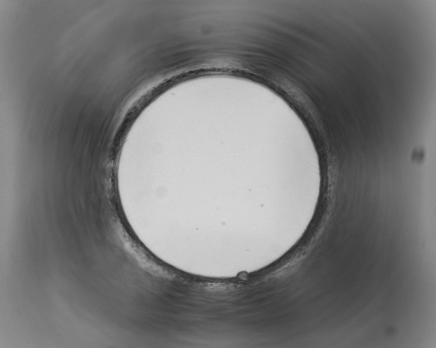 X0000114011029200911131159