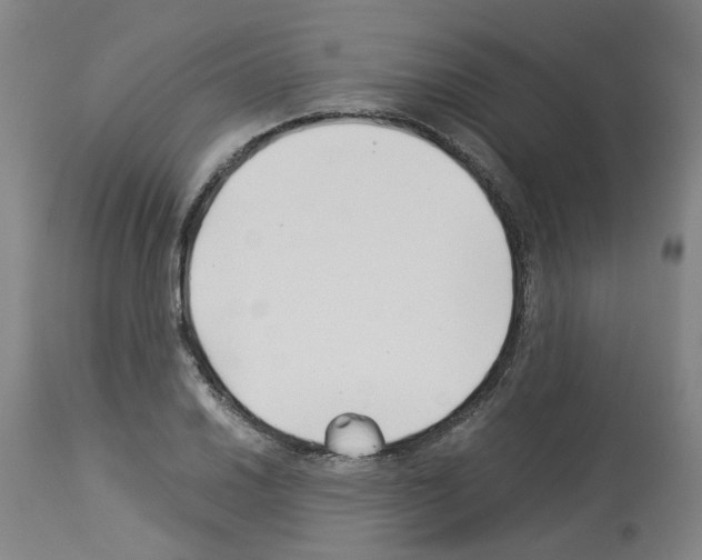 X0000114011030200911131159
