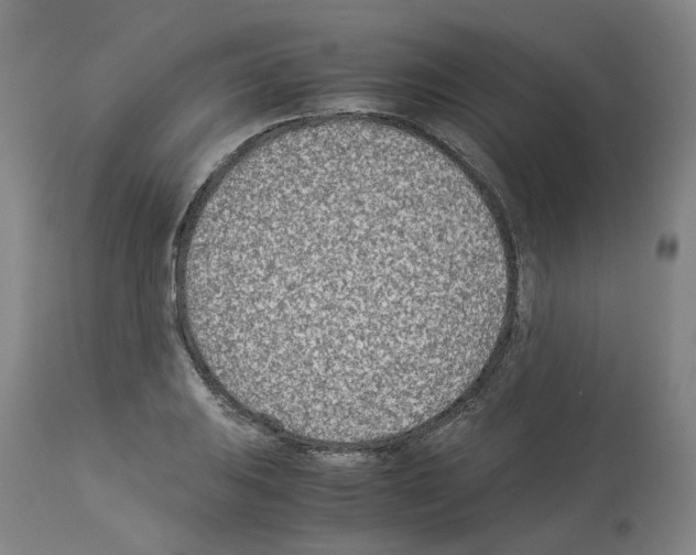 X0000114011031200911131159