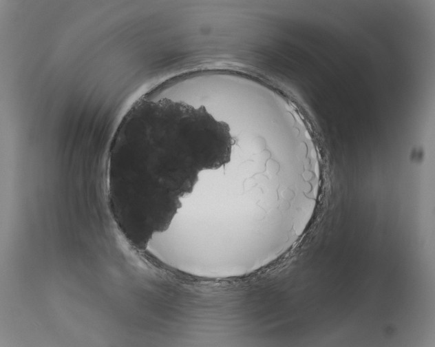 X0000114011032200911131159