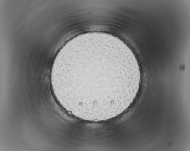 X0000114011033200911131159