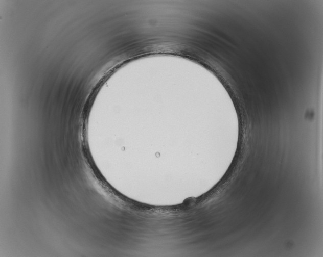 X0000114011034200911131159