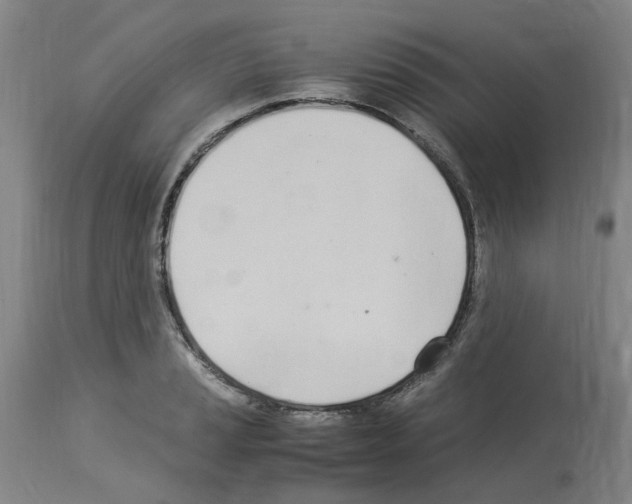 X0000114011037200911131159