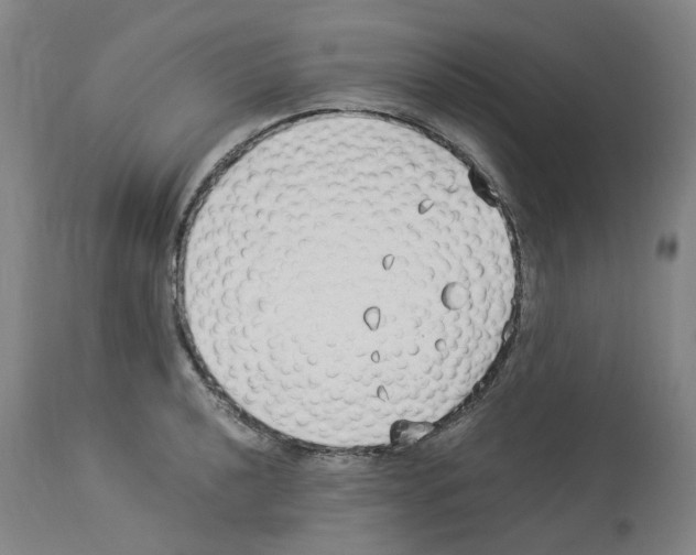 X0000114011040200911131159