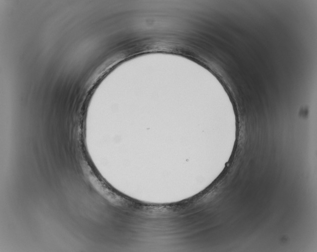 X0000114011042200911131159