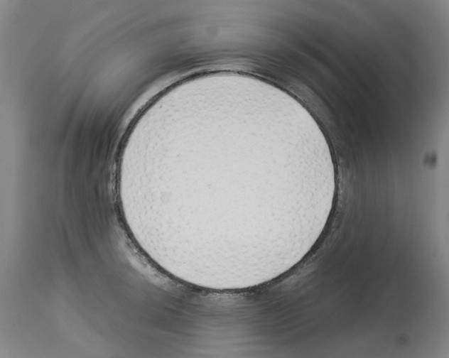 X0000114011044200911131159