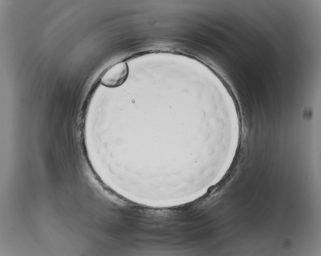 X0000114011045200911131159