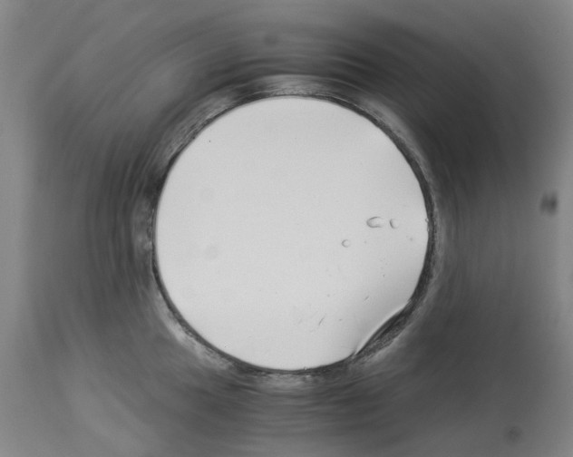 X0000114011049200911131159