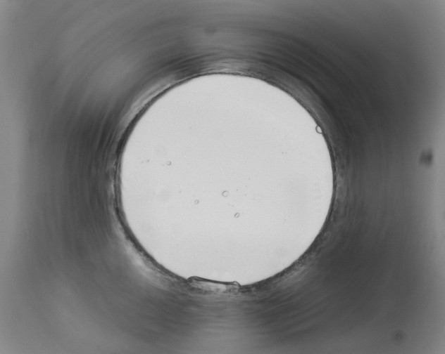 X0000114011050200911131159
