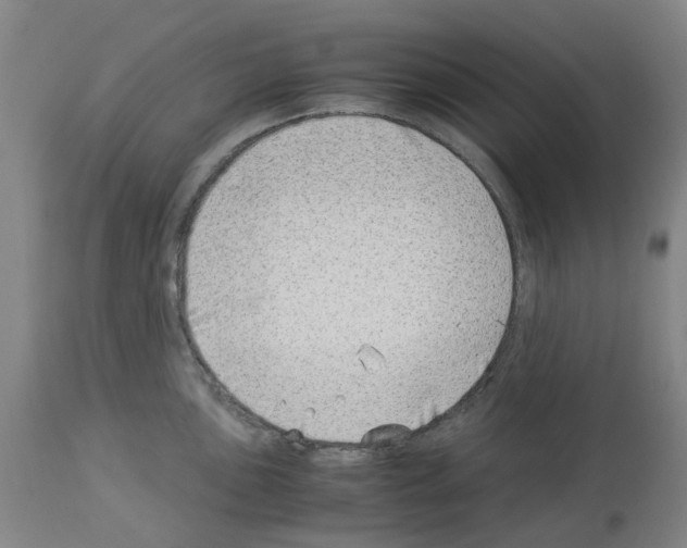 X0000114011051200911131159