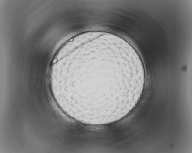 X0000114011053200911131159