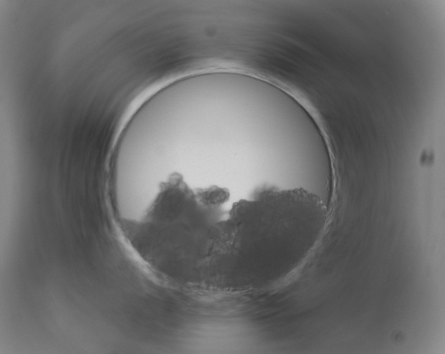 X0000114011056200911131159
