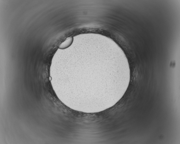 X0000114011062200911131159