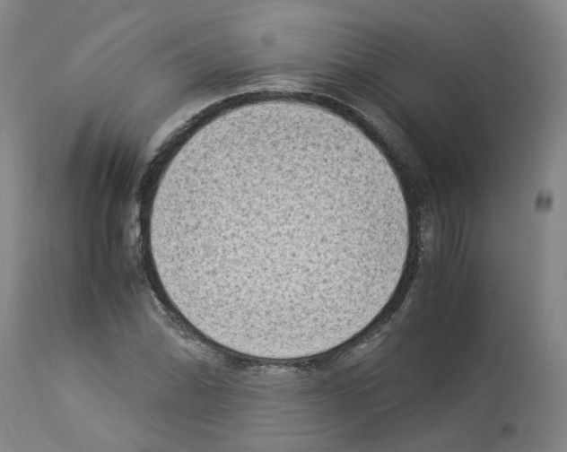 X0000114011070200911131158