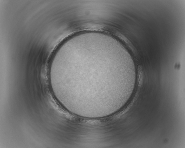 X0000114011074200911131158